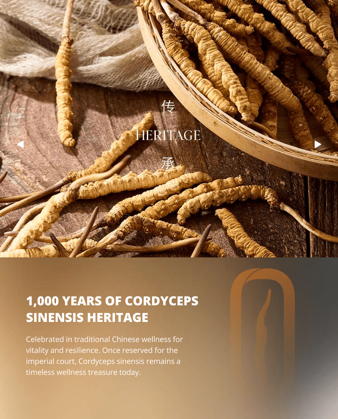 slider 1-mobile (3) (1)