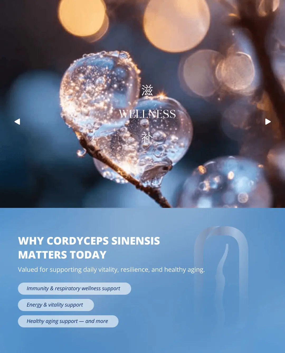 slider-mobile-wellness